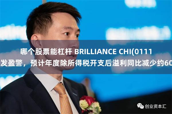 哪个股票能杠杆 BRILLIANCE CHI(01114)发盈警，预计年度除所得税开支后溢利同比减少约60%