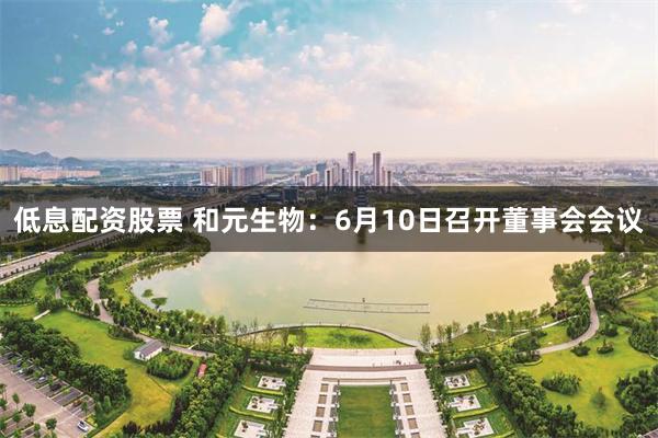 低息配资股票 和元生物：6月10日召开董事会会议
