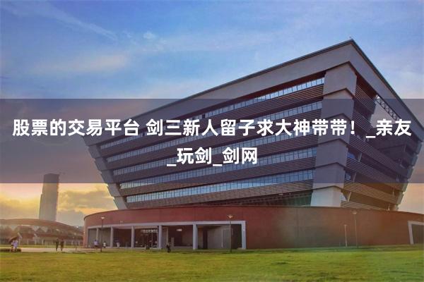 股票的交易平台 剑三新人留子求大神带带！_亲友_玩剑_剑网