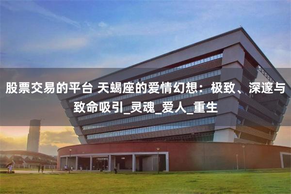 股票交易的平台 天蝎座的爱情幻想：极致、深邃与致命吸引_灵魂_爱人_重生