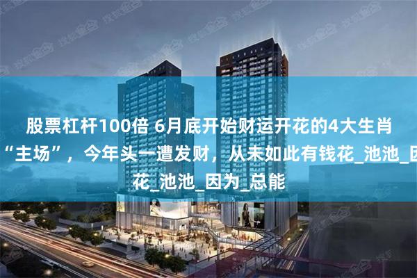 股票杠杆100倍 6月底开始财运开花的4大生肖，正财运“主场”，今年头一遭发财，从未如此有钱花_池池_因为_总能