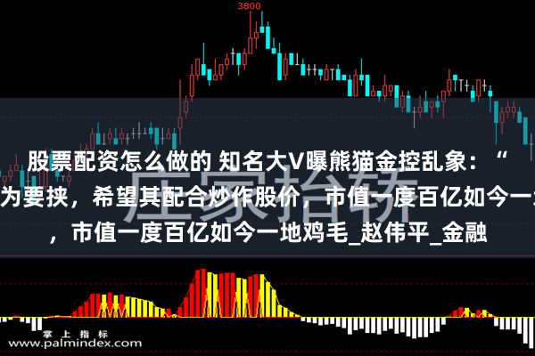 股票配资怎么做的 知名大V曝熊猫金控乱象：“烟花大王”曾以兑付为要挟，希望其配合炒作股价，市值一度百亿如今一地鸡毛_赵伟平_金融