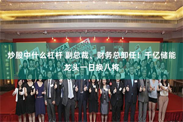 炒股中什么杠杆 副总裁、财务总卸任！千亿储能龙头一日换八将