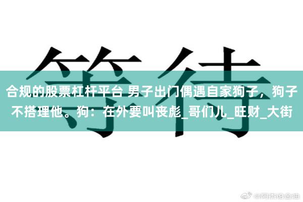 合规的股票杠杆平台 男子出门偶遇自家狗子，狗子不搭理他。狗：在外要叫丧彪_哥们儿_旺财_大街