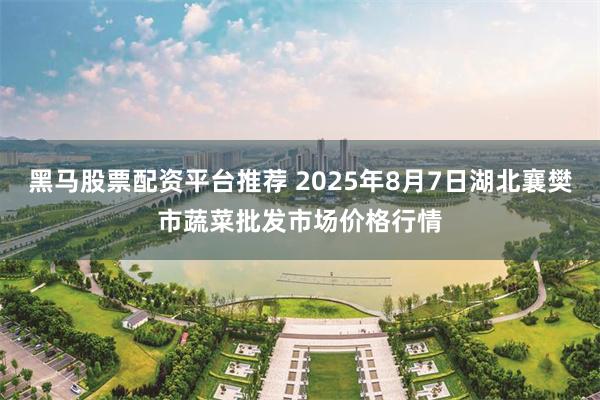 黑马股票配资平台推荐 2025年8月7日湖北襄樊市蔬菜批发市场价格行情
