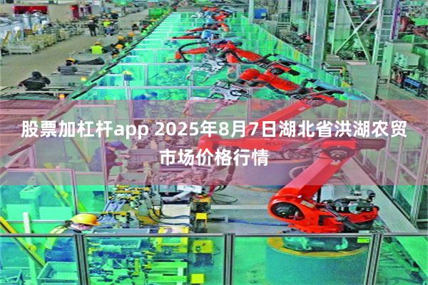 股票加杠杆app 2025年8月7日湖北省洪湖农贸市场价格行情