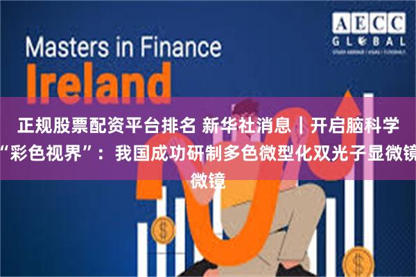 正规股票配资平台排名 新华社消息｜开启脑科学“彩色视界”：我国成功研制多色微型化双光子显微镜