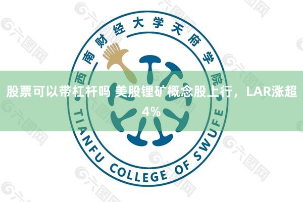 股票可以带杠杆吗 美股锂矿概念股上行，LAR涨超4%