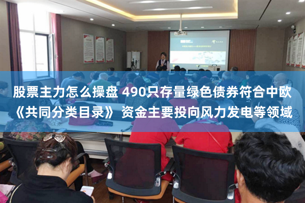 股票主力怎么操盘 490只存量绿色债券符合中欧《共同分类目录》 资金主要投向风力发电等领域