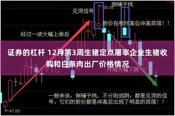 证券的杠杆 12月第3周生猪定点屠宰企业生猪收购和白条肉出厂价格情况